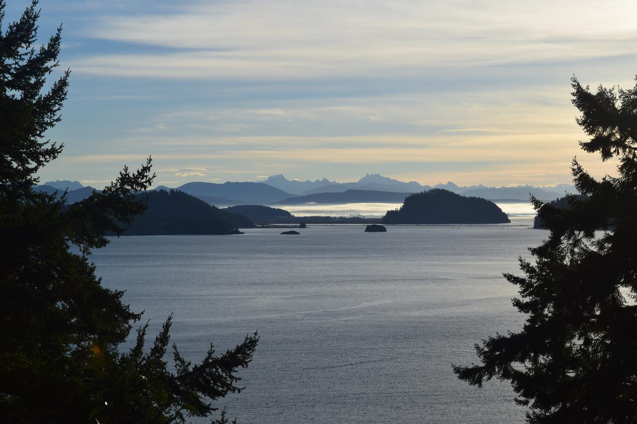 לינה וארוחת בוקר אוק הארבור The Bluff On Whidbey מראה חיצוני תמונה